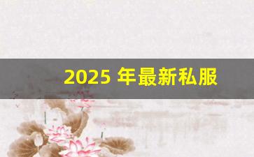 2025 年最新私服版本上线！全新职业「暗黑领主」技能曝光